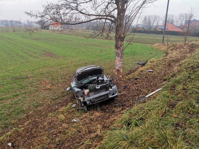 Toyota uderzyła w drzewo. Kierowca wraz z dzieckiem trafili do szpitala (zdjęcia)