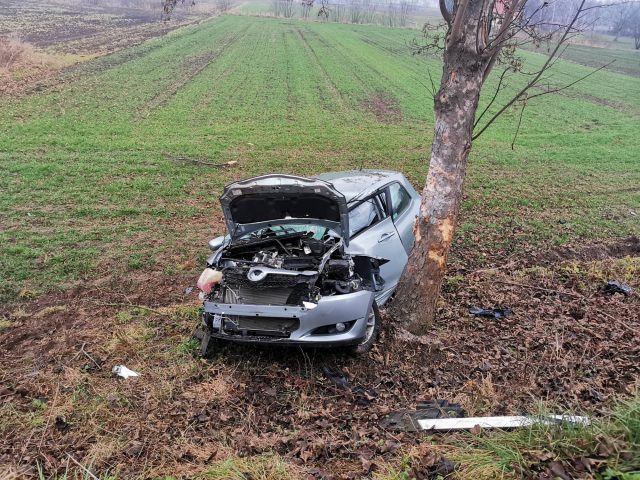 Toyota uderzyła w drzewo. Kierowca wraz z dzieckiem trafili do szpitala (zdjęcia)