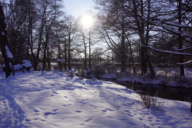 Bystrzyca w zimowej scenerii (zdjęcia)