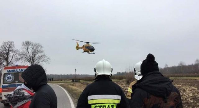Groźny wypadek na trasie Opole Lubelskie – Annopol. Samochód uderzył w drzewo, jedna osoba jest uwięziona w aucie (zdjęcia)