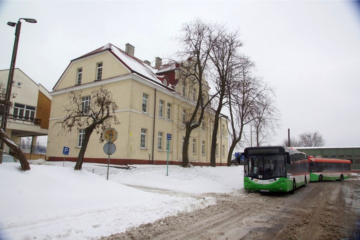 Zapewniają, że nie trzeba wycinać wszystkich drzew na potrzeby budowy dworca. Apelują do ratusza o ich ocalenie