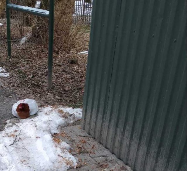 Ktoś wyrzucił żywą kurę przy wiacie śmietnikowej. Ptak zapakowany był w reklamówkę (wideo, zdjęcia)