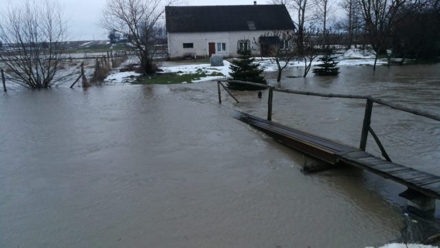 Rzeka wystąpiła z brzegów i podtopiła posesje. Interweniowali strażacy (zdjęcia)