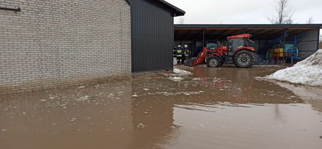 Rzeka wystąpiła z brzegów i podtopiła posesje. Interweniowali strażacy (zdjęcia)