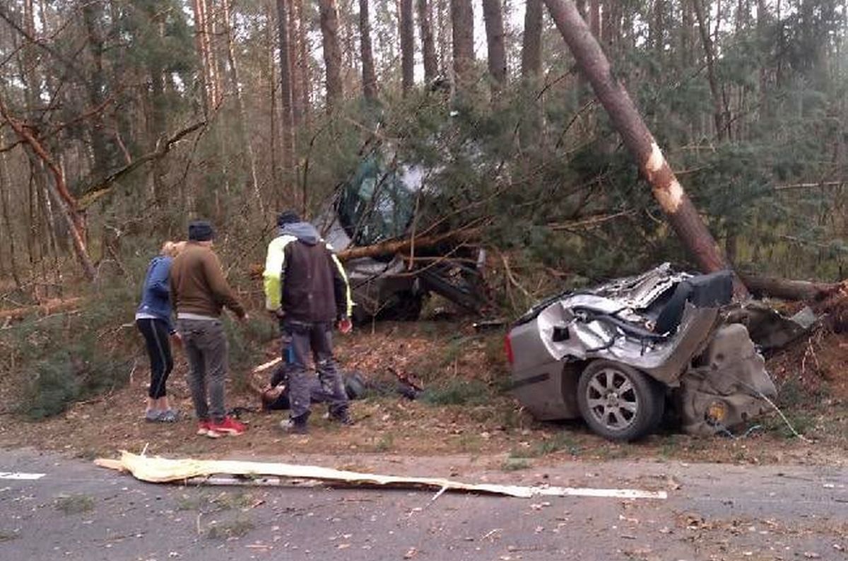 Skoda rozpadła się na pół po uderzeniu w drzewo. Młody kierowca śmigłowcem trafił do szpitala (zdjęcia)