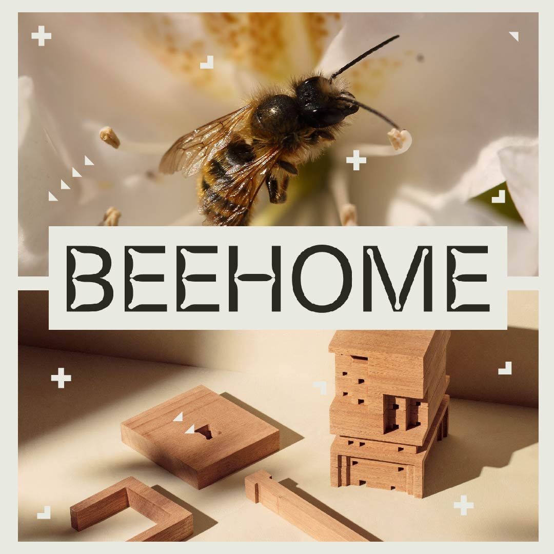 Rusza kolejna akcja pomocy pszczołom. Będzie można zaprojektować i złożyć domek dla tych owadów