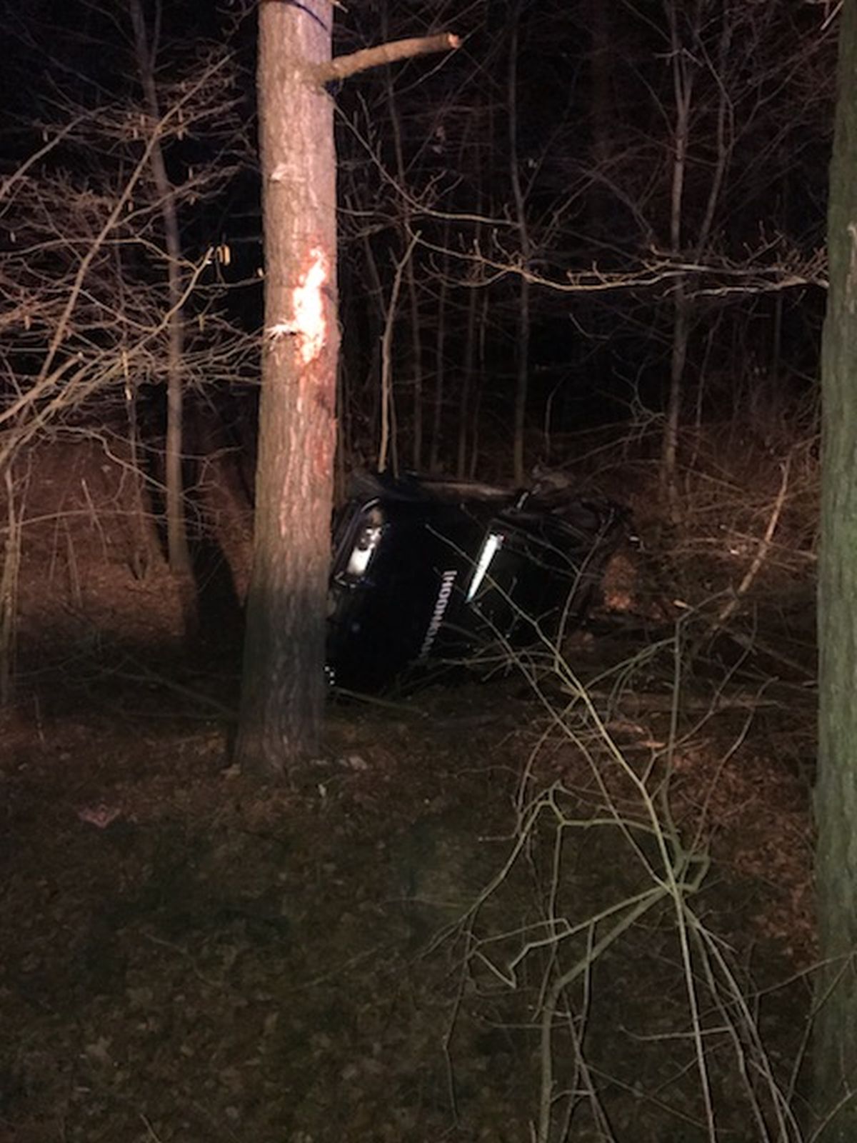 BMW wypadło z drogi do lasu. Trwają poszukiwania jednej osoby (zdjęcia)