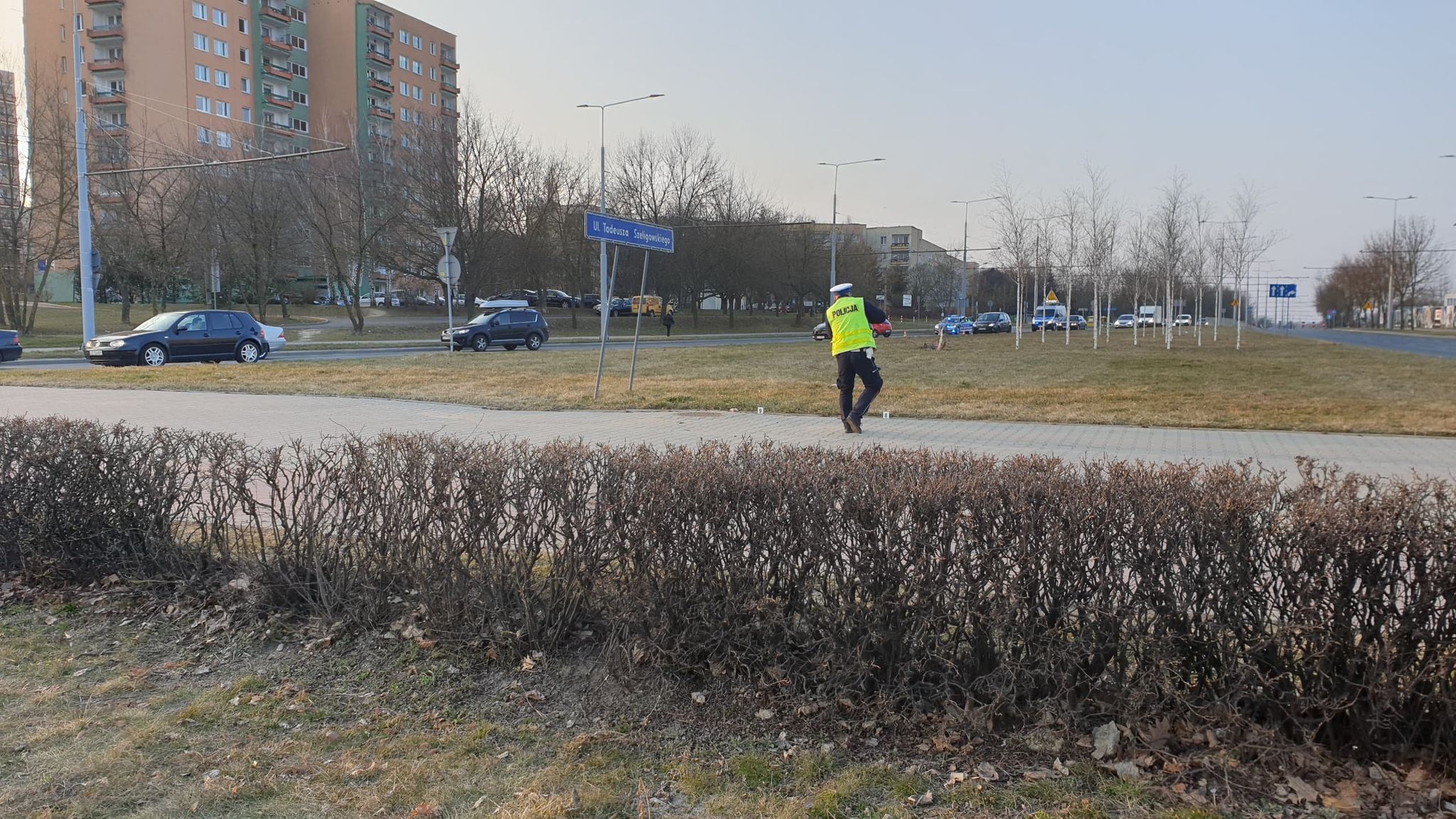 Przejechała przez środek ronda, chodnik, żywopłot i drzewa. Mazdę zatrzymał dopiero słup (zdjęcia)