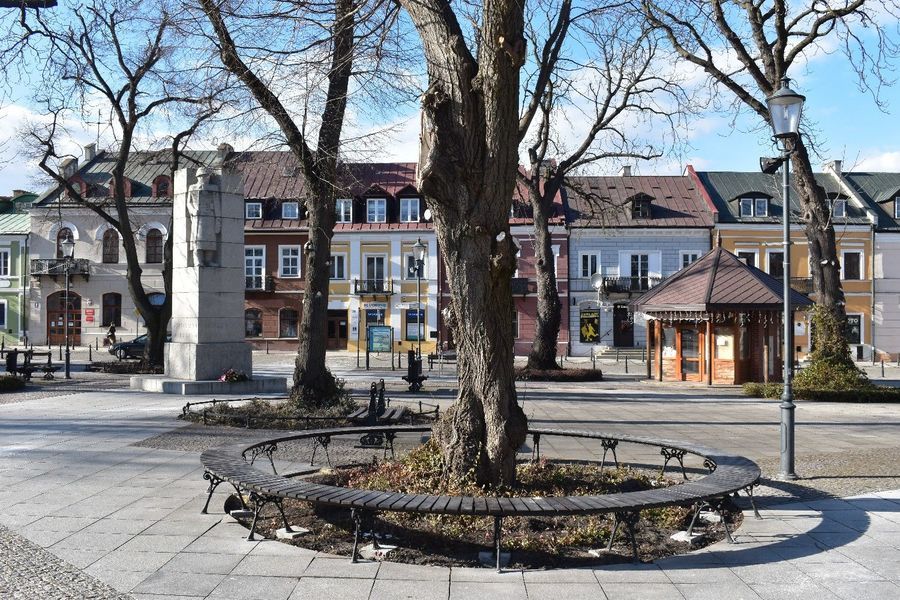 Drzewa otoczono ławkami. Nowe miejsca do odpoczynku mają też chronić rośliny (zdjęcia)