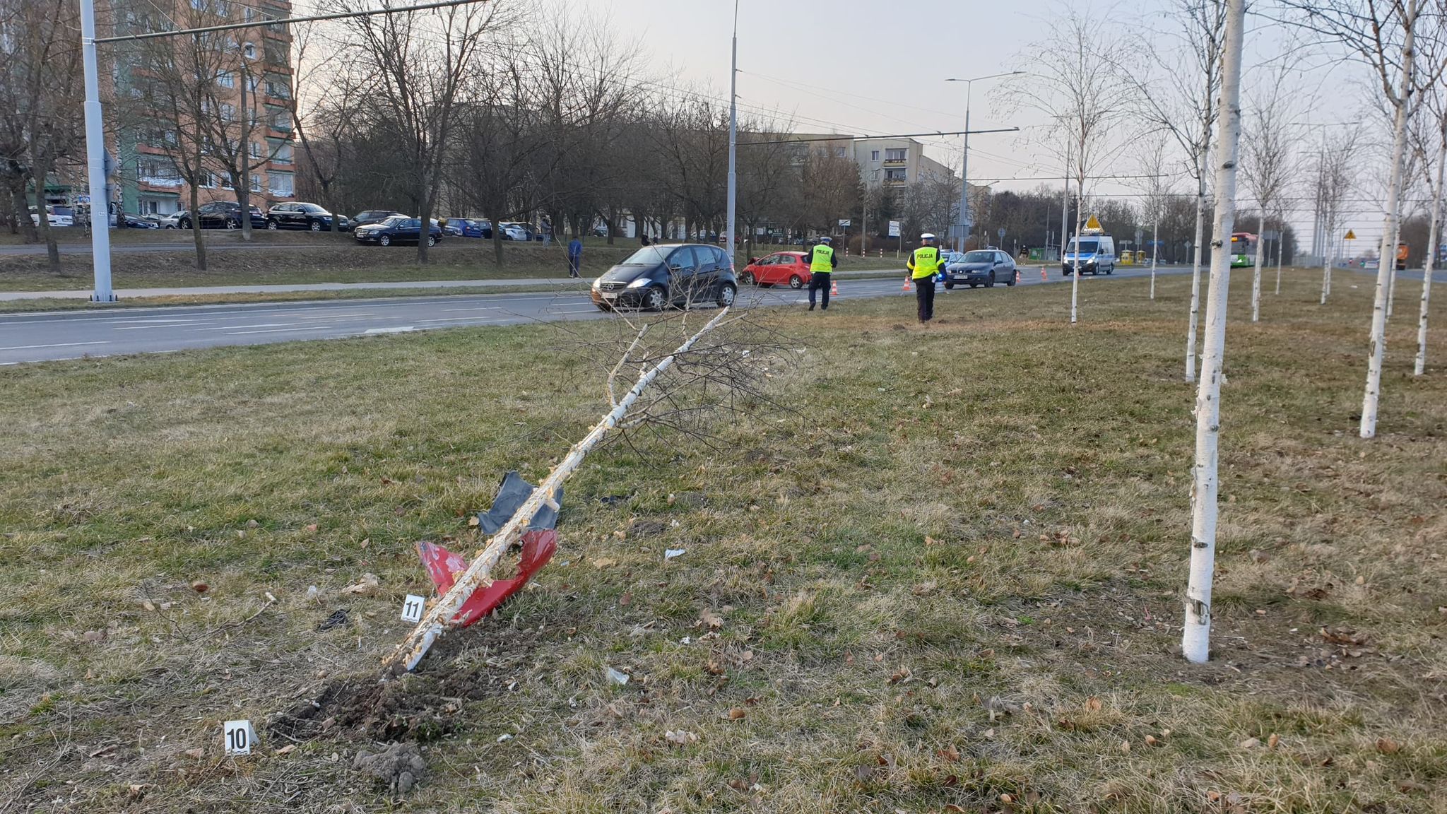 Przejechała przez środek ronda, chodnik, żywopłot i drzewa. Mazdę zatrzymał dopiero słup (zdjęcia)