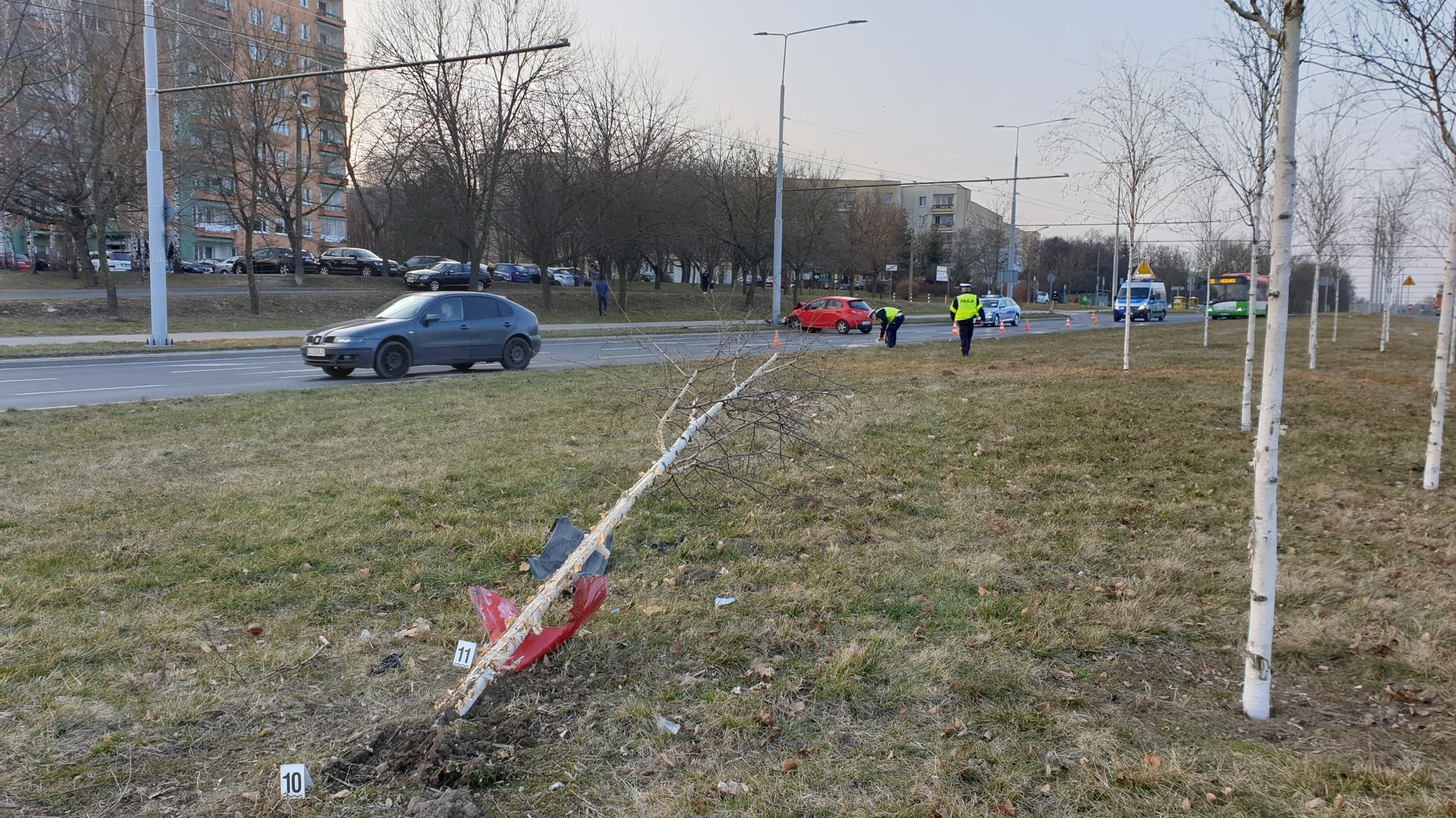 Przejechała przez środek ronda, chodnik, żywopłot i drzewa. Mazdę zatrzymał dopiero słup (zdjęcia)