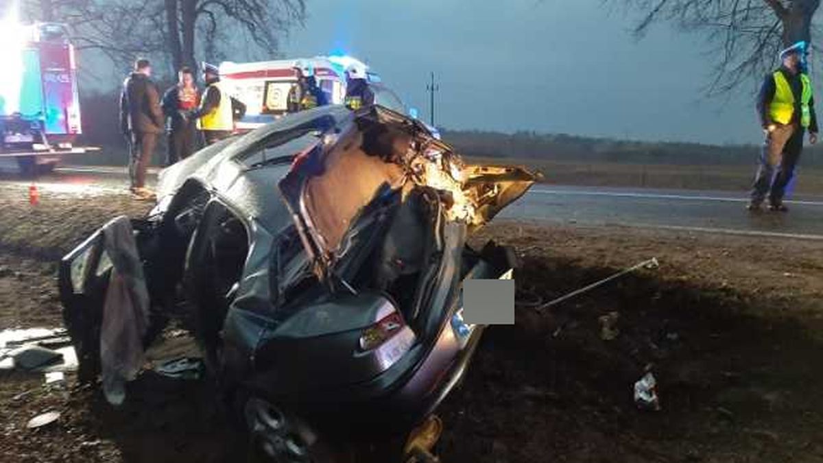 Alfa romeo uderzyła w drzewo. Dwóch mężczyzn jest ciężko rannych (zdjęcia)