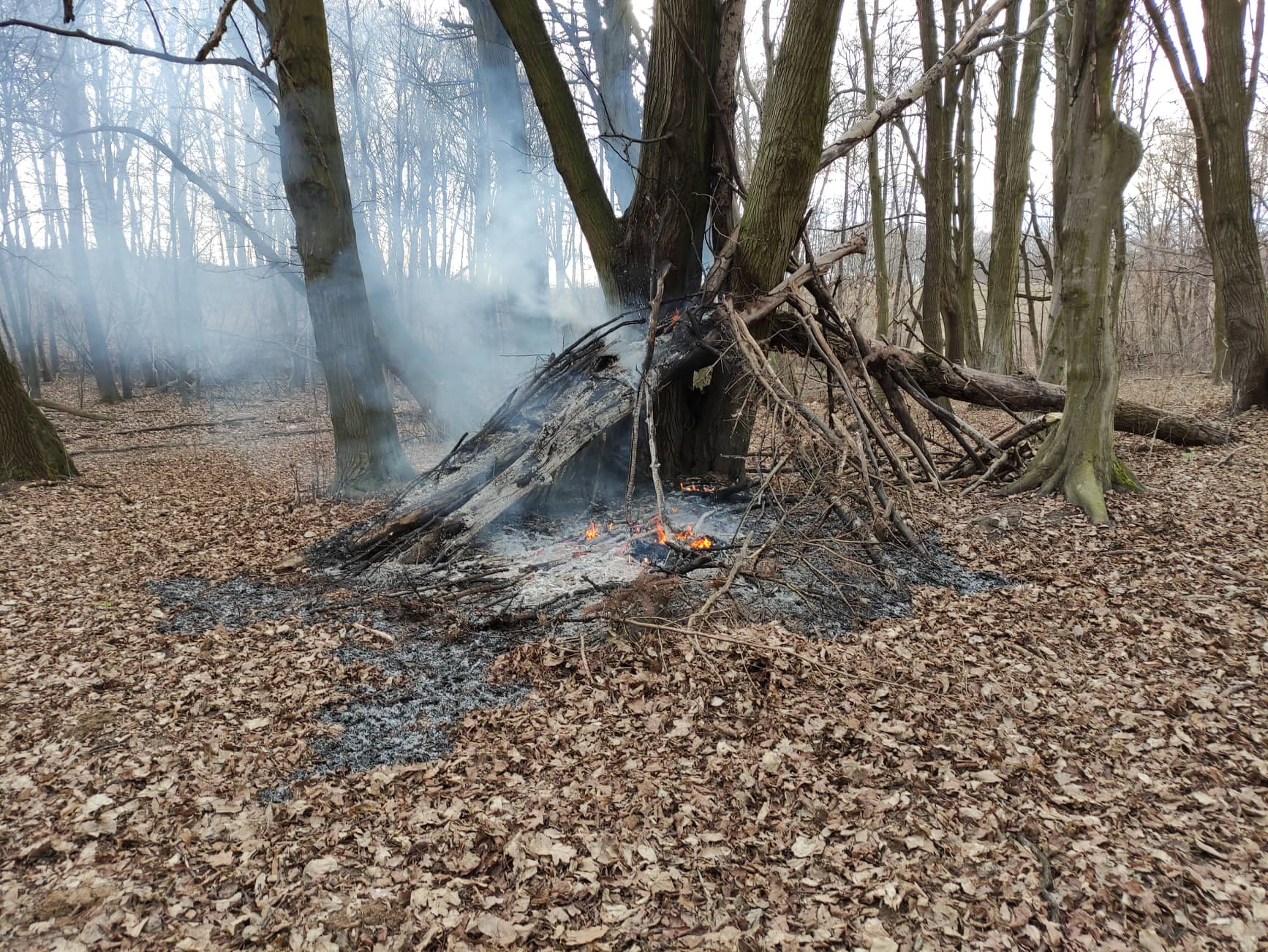 Usiłowano podpalić las? Sterta gałęzi, w środku opona, pod to podłożono ogień (zdjęcia)