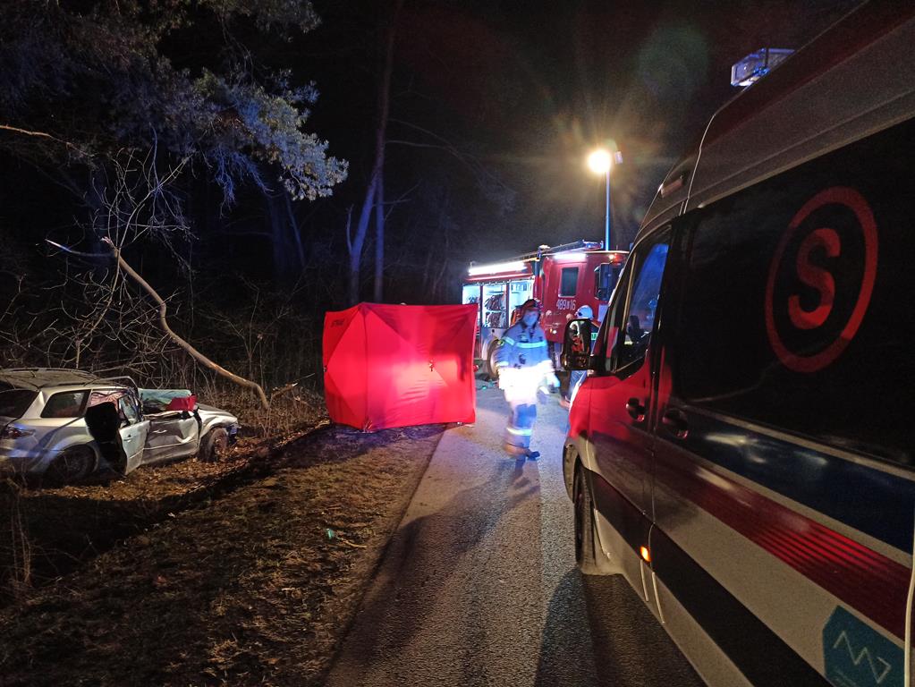 Pojazd osobowy uderzył w drzewo, kierująca zginęła na miejscu (zdjęcia)