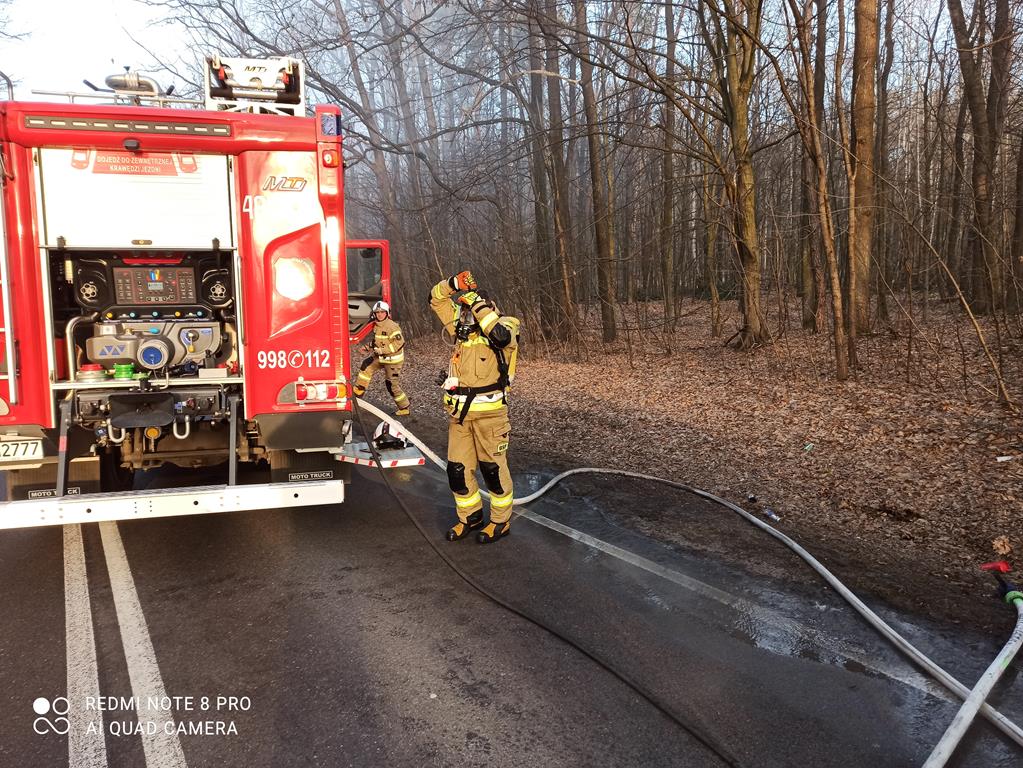 Strażacy gasili pożar BMW (zdjęcia)