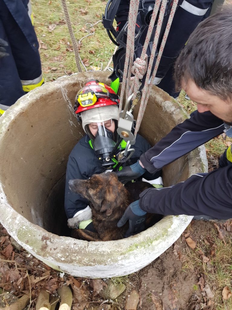 Strażacy uratowali psa, który wpadł do studni (zdjęcia)