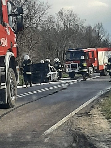 Pożar pojazdu osobowego na drodze wojewódzkiej (zdjęcia)