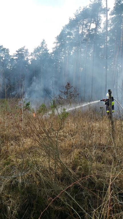 Pożar lasu w Nadleśnictwie Włodawa. Akcja gaśnicza prowadzona była z ziemi i powietrza (zdjęcia)