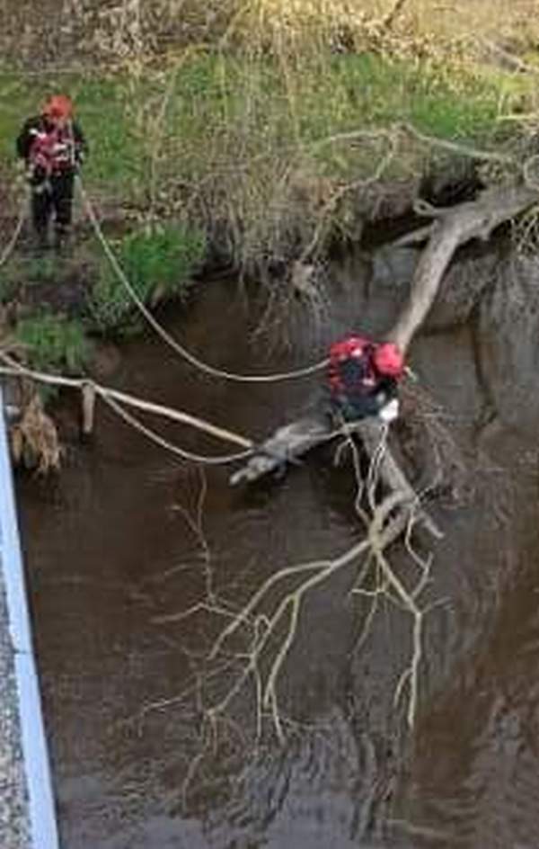 Nietypowa akcja radzyńskich strażaków na rzece (zdjęcia)