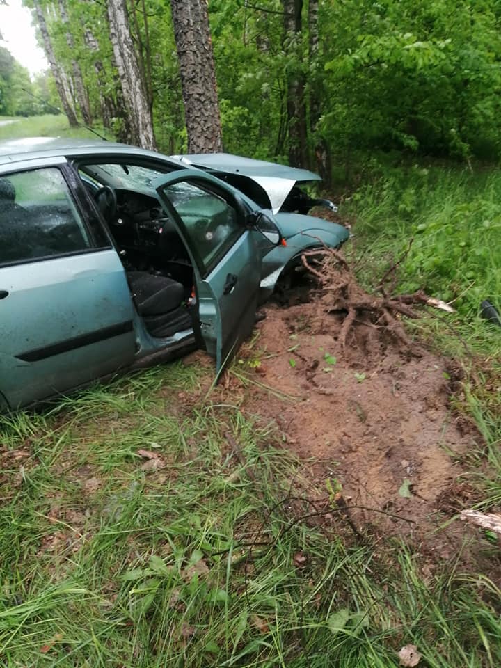 Prowadząca przez las droga była dla niego za wąska. Ford uderzył w drzewo, kierowca był pijany (zdjęcia)