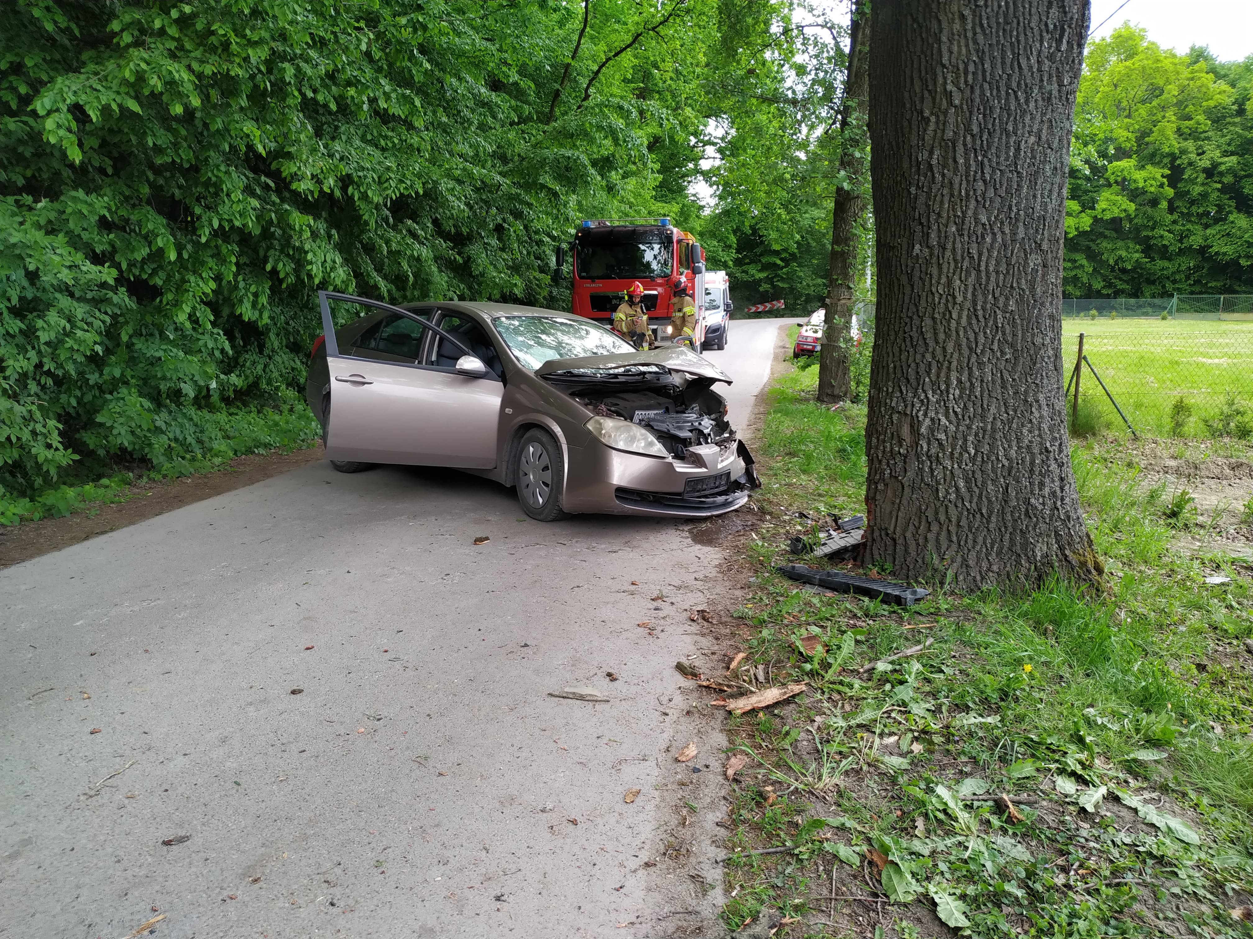 Nissan uderzył w drzewo. Pijany kierowca przesadził z prędkością (zdjęcia)