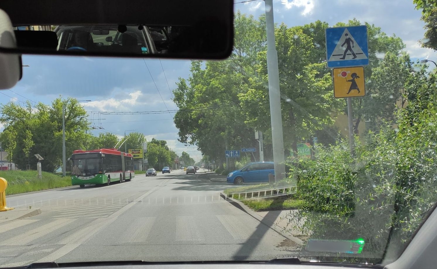 Sygnał od Czytelnika. Krzewy tak się rozrosły, że nie widać pieszych (zdjęcia)