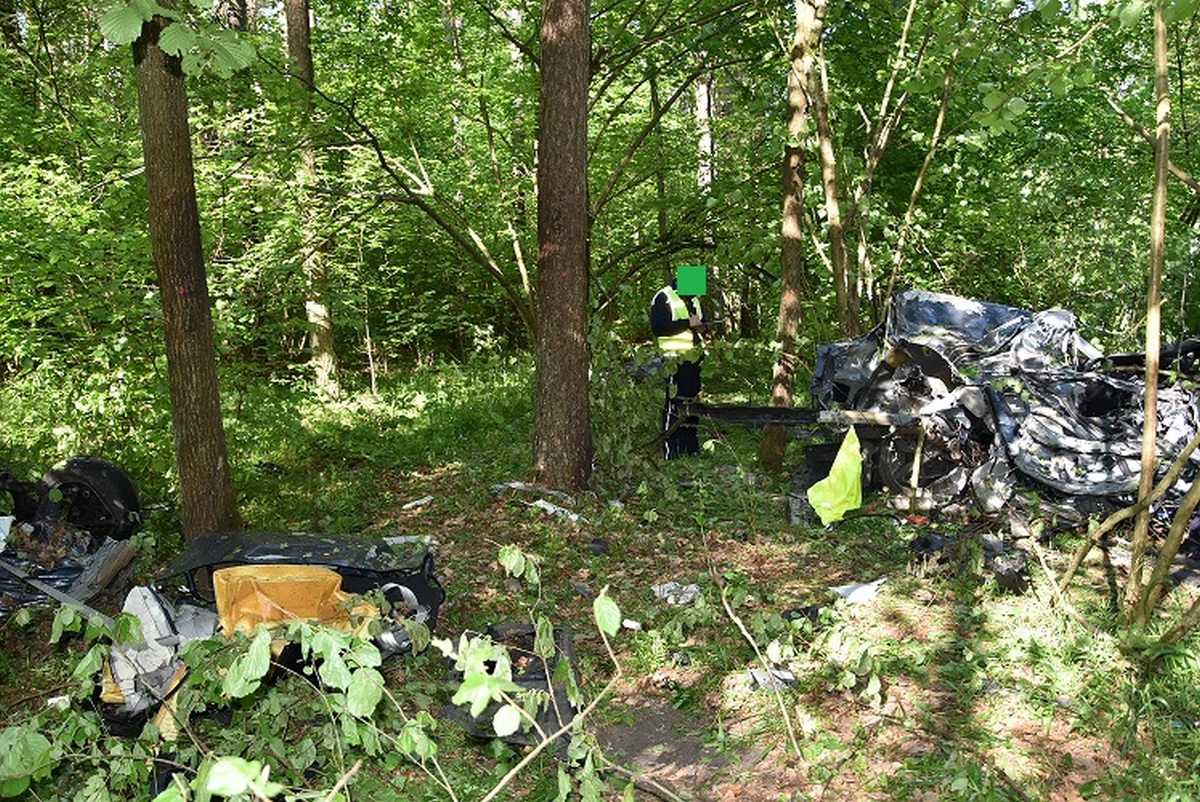 Pojazd uderzył w drzewo, kierowca zginął na miejscu (zdjęcia)