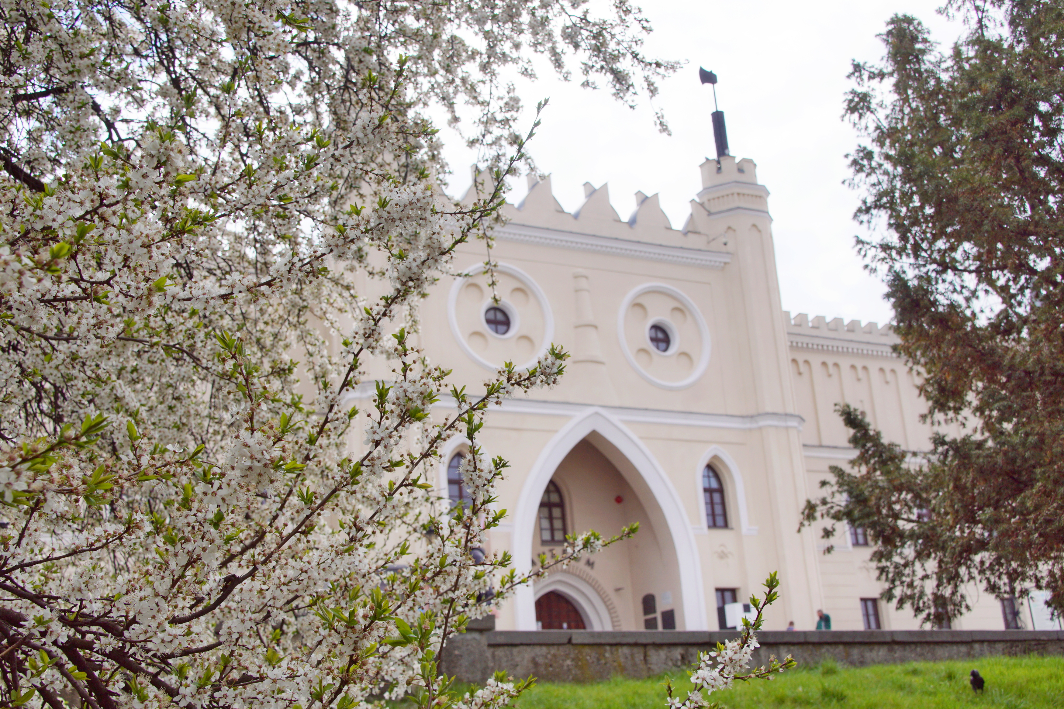Lublin przystroił się w wiosnę. Zaproszenie do Koziego Grodu na majówkę (zdjęcia)