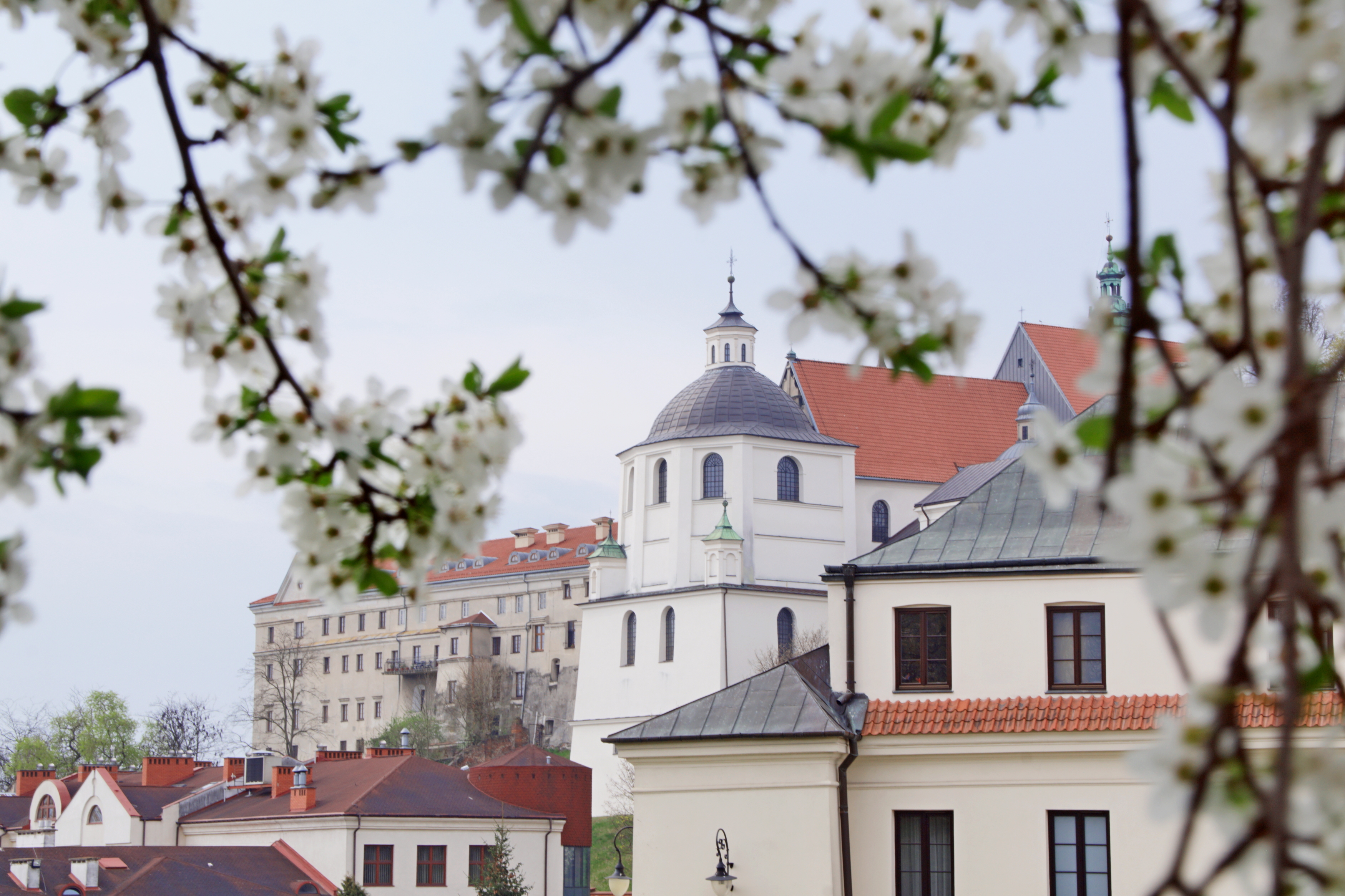 Lublin przystroił się w wiosnę. Zaproszenie do Koziego Grodu na majówkę (zdjęcia)