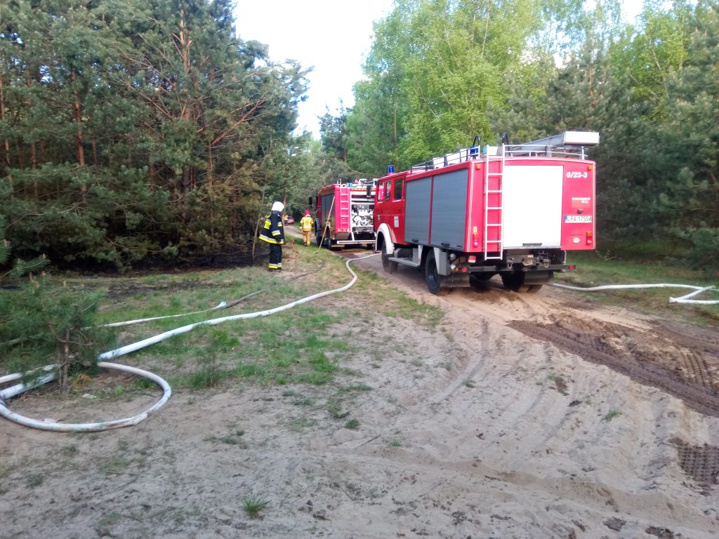 Kilka zastępów straży pożarnej gasiło pożar lasu (zdjęcia)