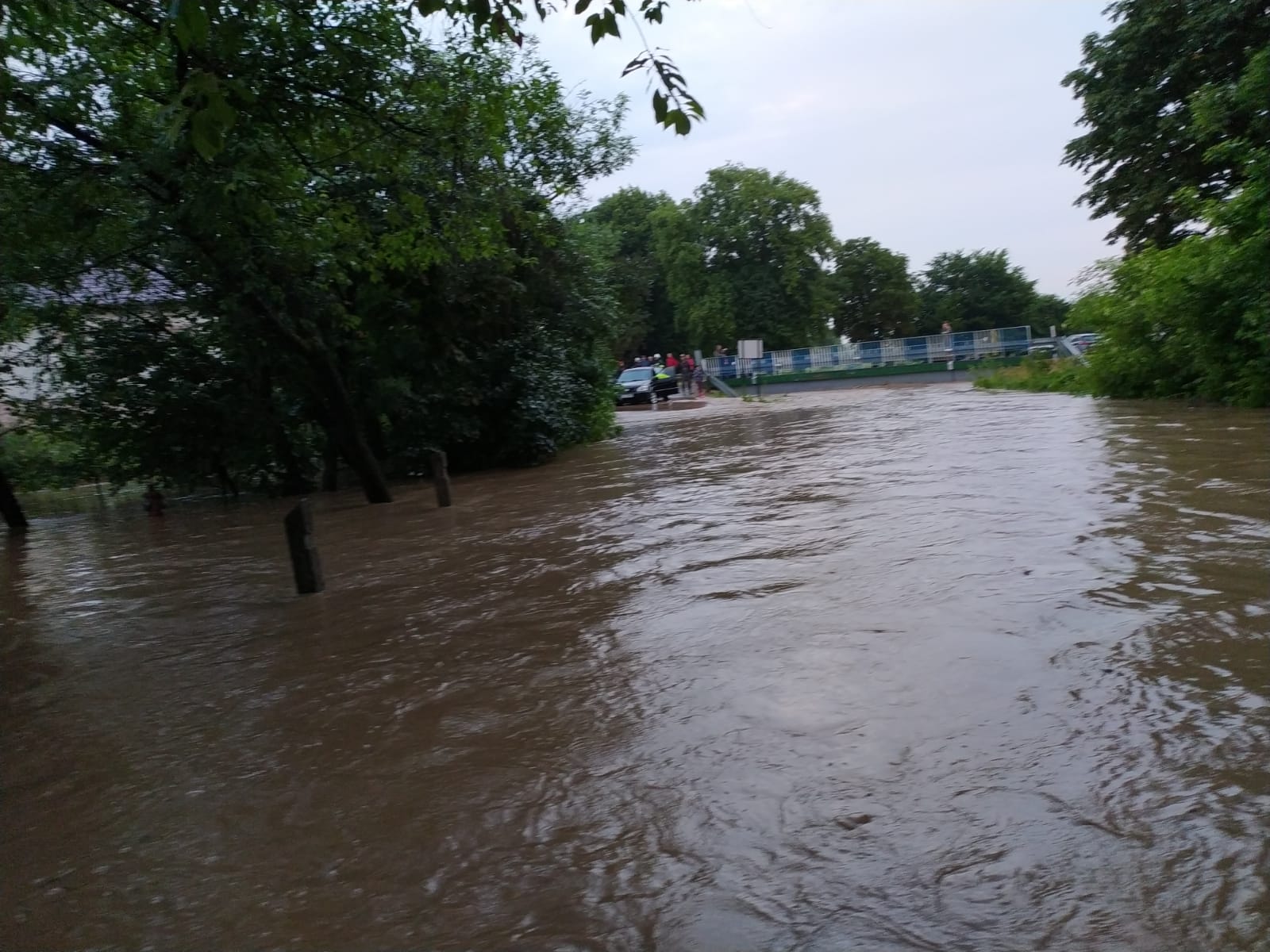 Ulewy dały się we znaki mieszkańcom powiatu chełmskiego. Doszło do zalań i podtopień (zdjęcia)