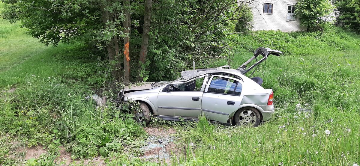 Opel uderzył w przepust i drzewa. Kierowca wydostał się z rozbitego auta, zerwał tablice i uciekł (zdjęcia)