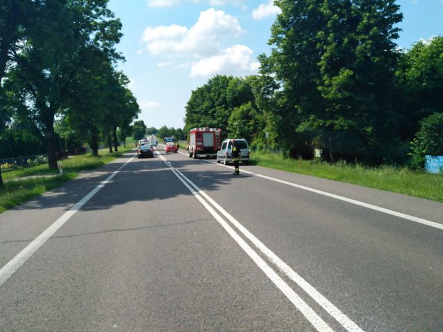 Wypadek na trasie Krasnystaw – Zamość. Są osoby poszkodowane po czołowym zderzeniu pojazdów (zdjęcia)