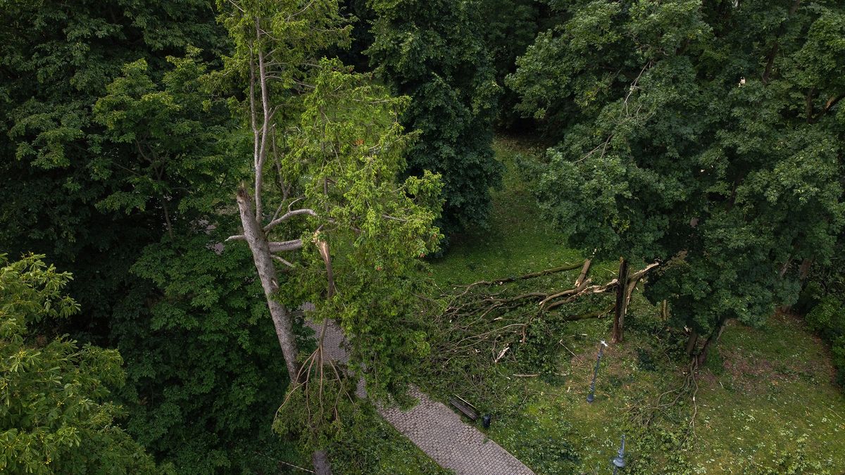 Nawałnica spustoszyła zabytkowy park w Karczmiskach. Ucierpiało też boisko (zdjęcia)