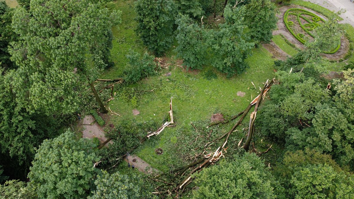 Nawałnica spustoszyła zabytkowy park w Karczmiskach. Ucierpiało też boisko (zdjęcia)