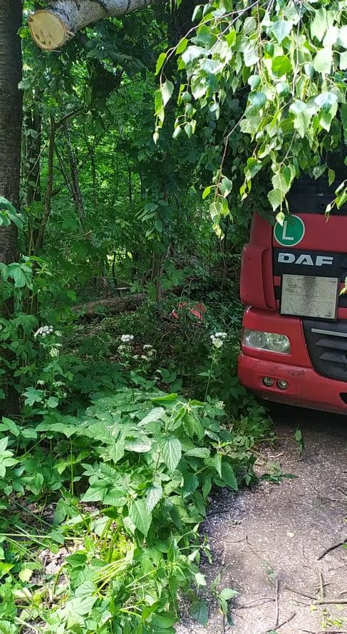 Zawodowy kierowca dał się zwieść małemu urządzeniu. Utknął przy lesie, uwolnili go strażacy (zdjęcia)