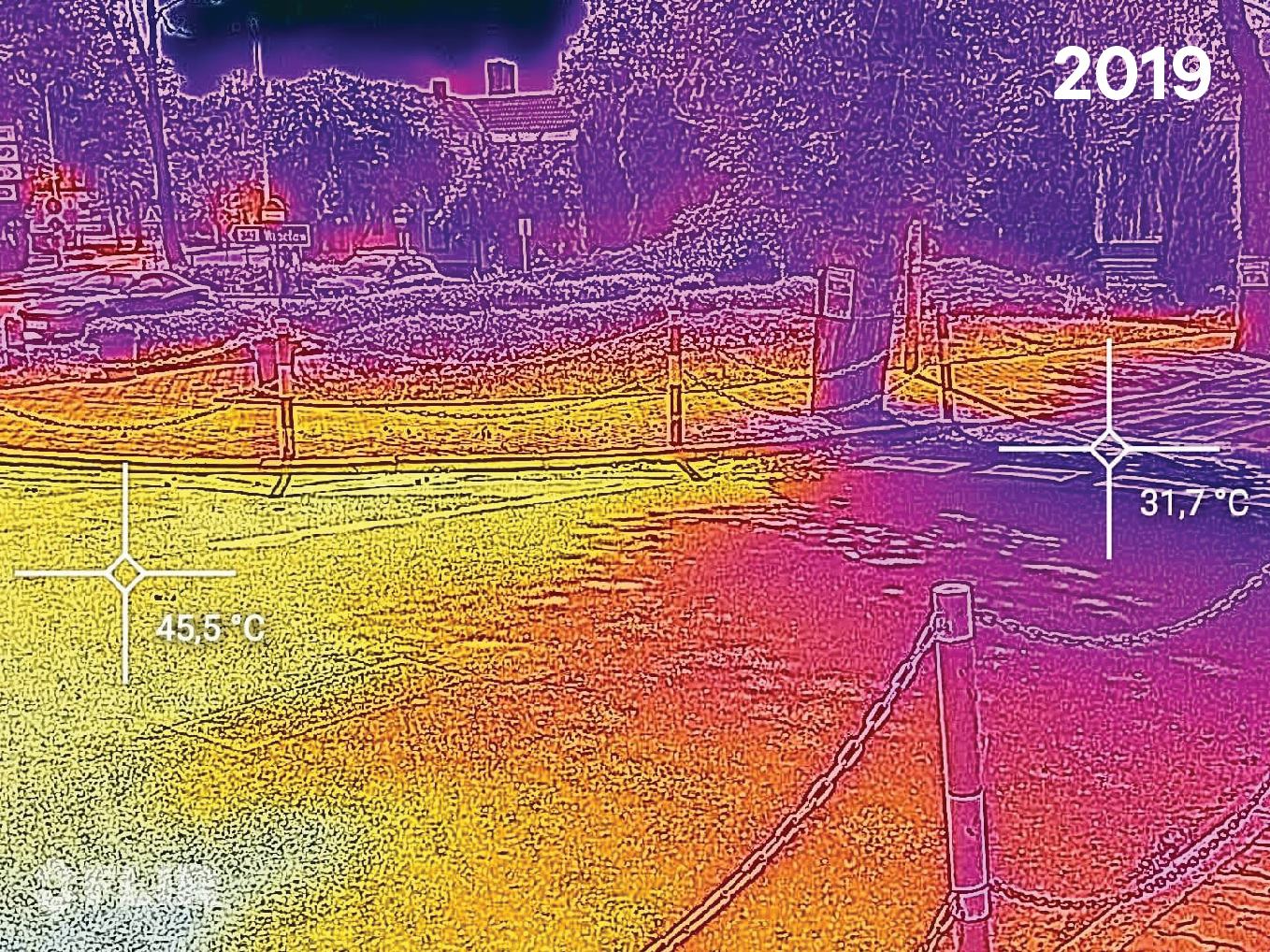 Było drzewo, nie ma drzewa. Jak to wpłynęło na temperaturę w trakcie upałów? (zdjęcia)