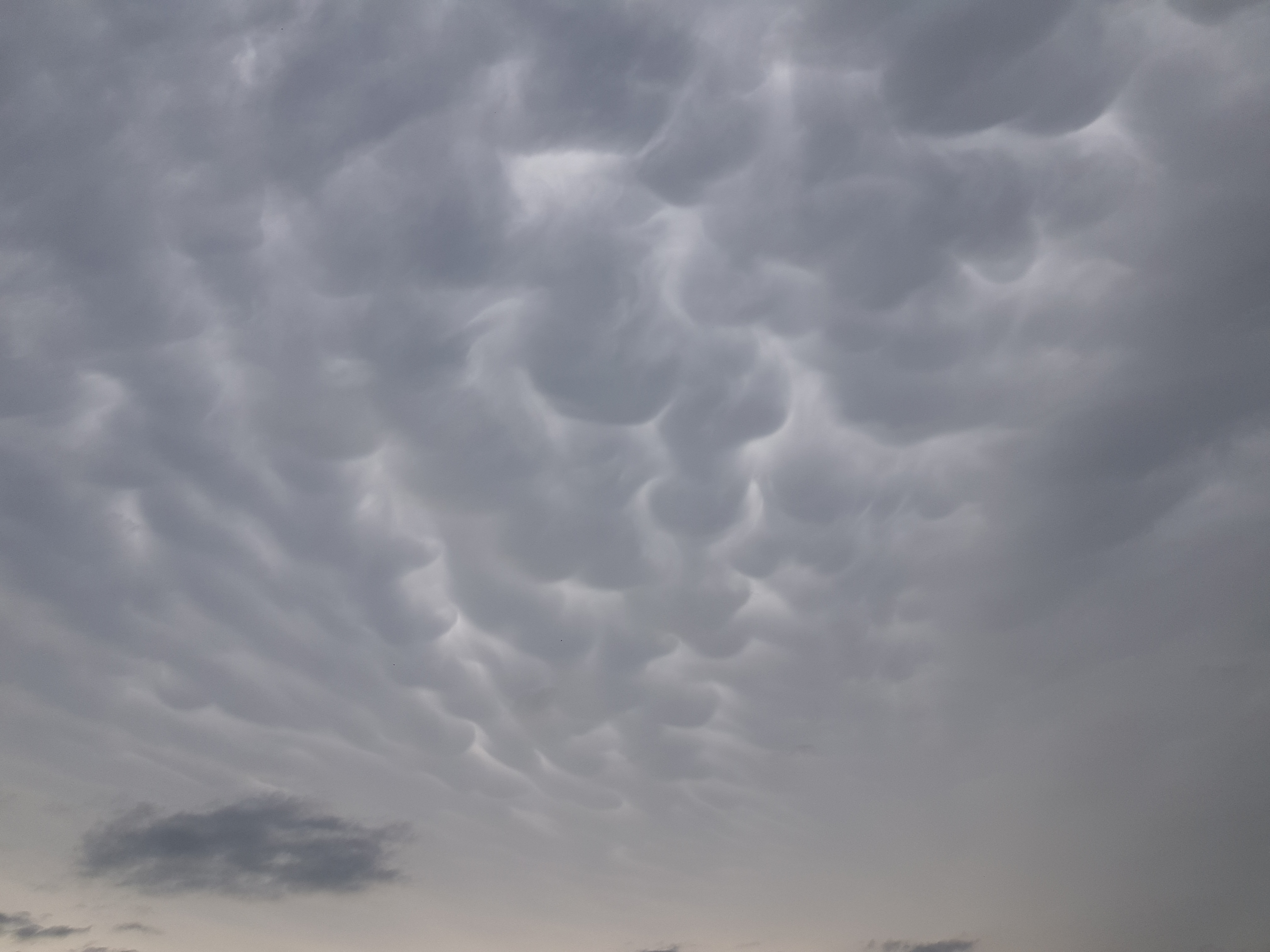 Te chmury towarzyszą gwałtownym burzom. Wyglądają jak ogromne bąble lub wymiona (zdjęcia)
