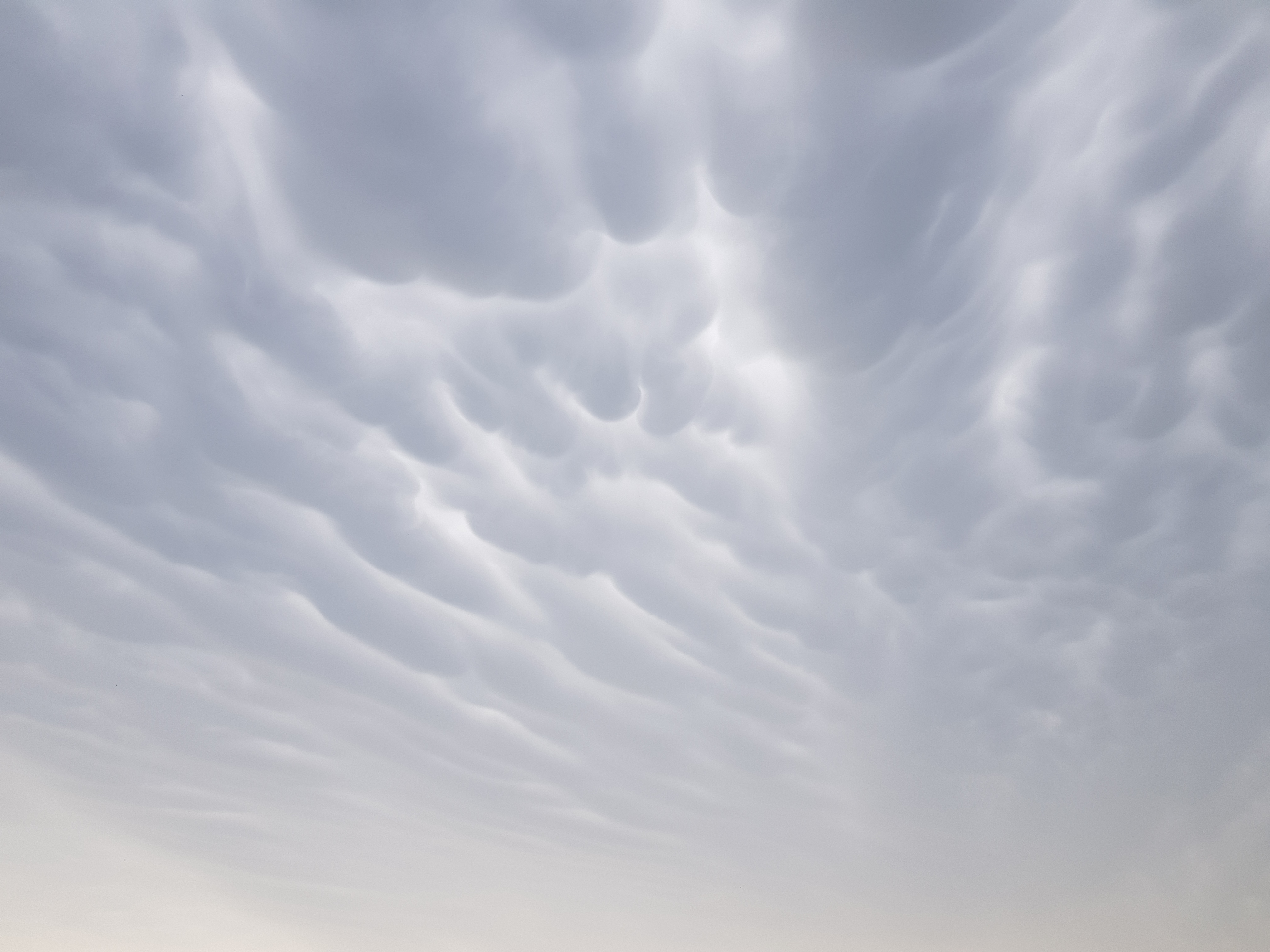 Te chmury towarzyszą gwałtownym burzom. Wyglądają jak ogromne bąble lub wymiona (zdjęcia)