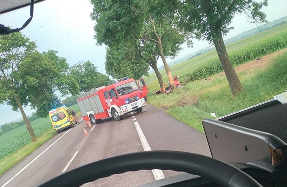 Volkswagen roztrzaskał się o drzewo pod Krasnymstawem. Trwa akcja ratunkowa, droga krajowa jest zablokowana (zdjęcia)