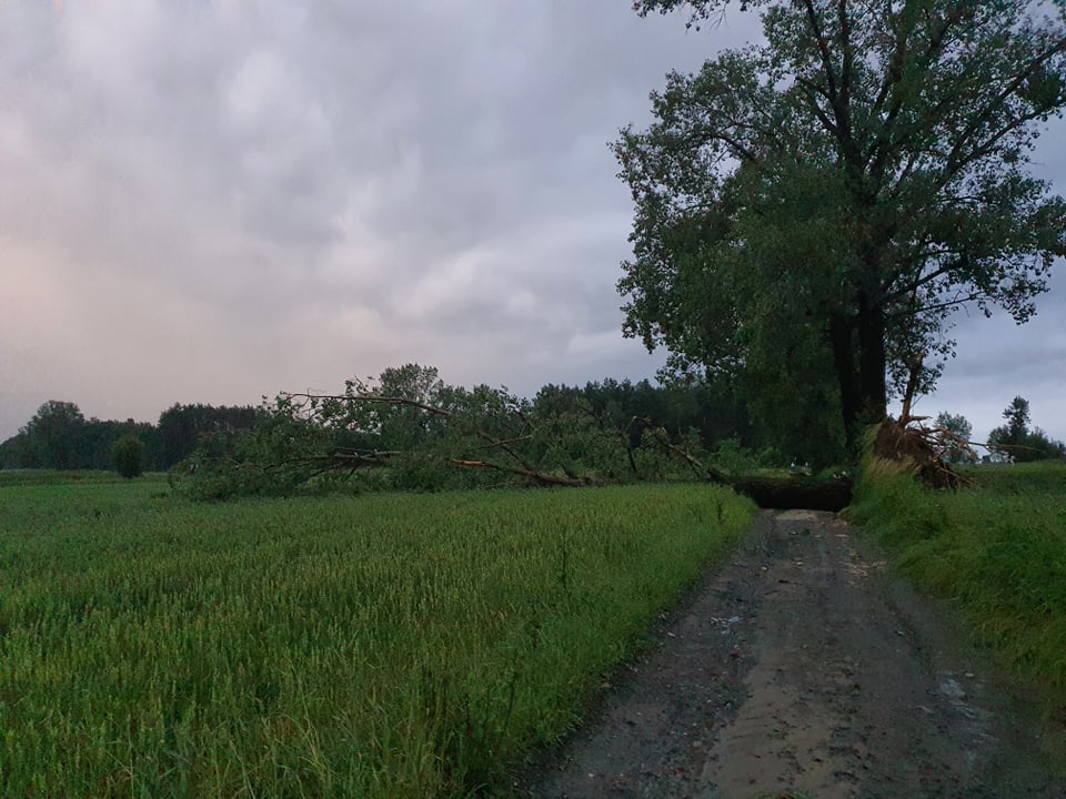 Kilkadziesiąt uszkodzonych dachów, kilka tysięcy odbiorców bez prądu. Sytuacja w regionie po burzach (zdjęcia)