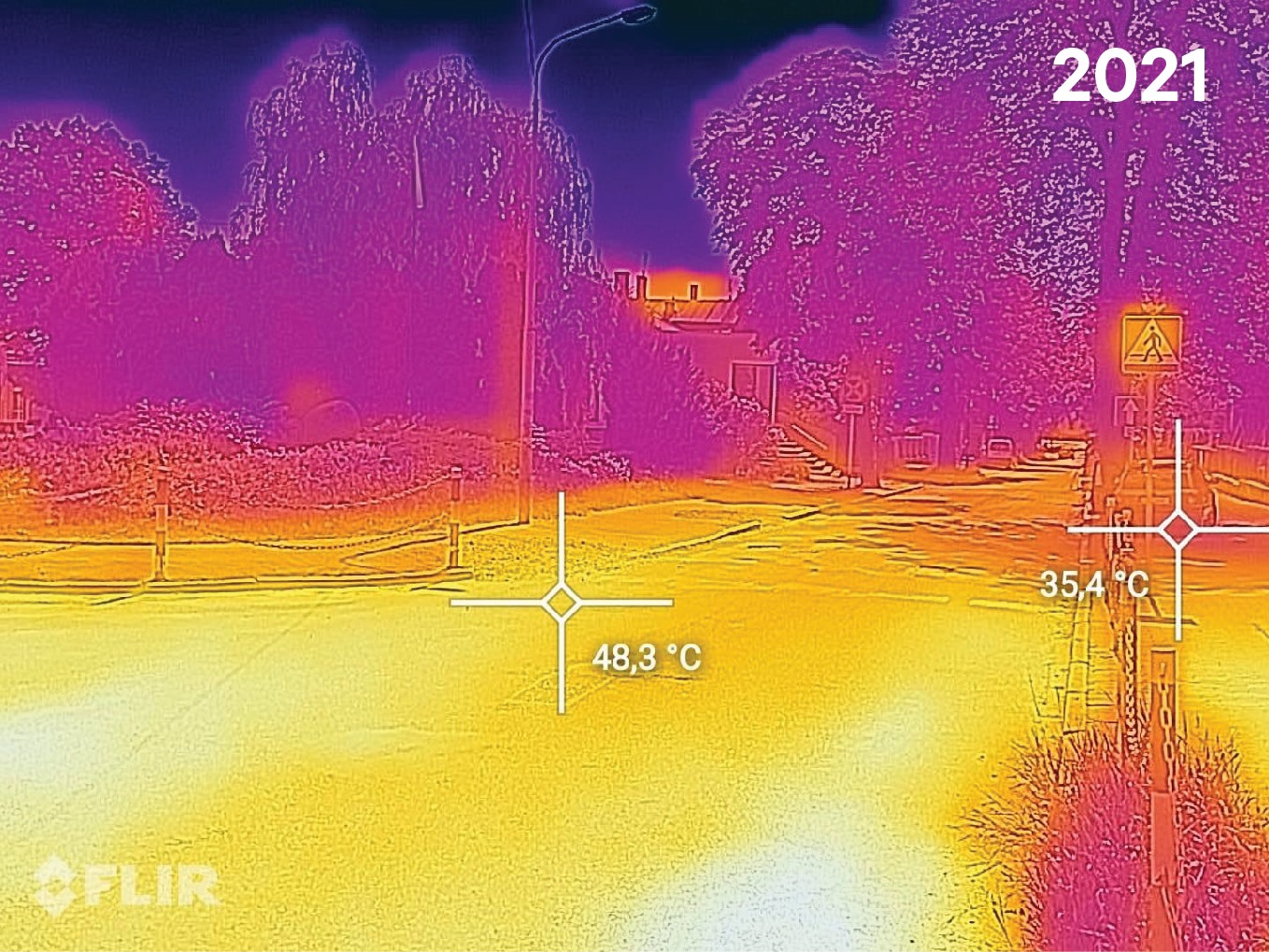 Było drzewo, nie ma drzewa. Jak to wpłynęło na temperaturę w trakcie upałów? (zdjęcia)