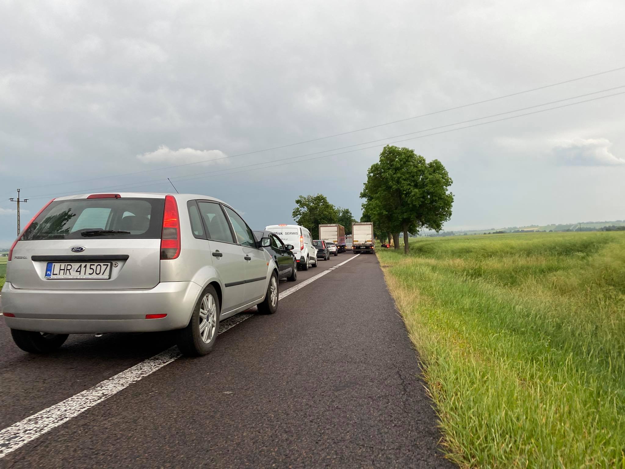 Volkswagen roztrzaskał się o drzewo pod Krasnymstawem. Trwa akcja ratunkowa, droga krajowa jest zablokowana (zdjęcia)