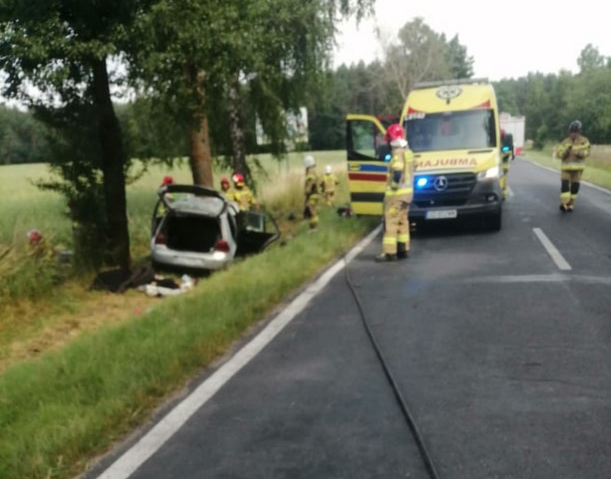 Groźny wypadek na drodze wojewódzkiej. Volkswagen uderzył w drzewo, kierowcę zabrał śmigłowiec (zdjęcia)