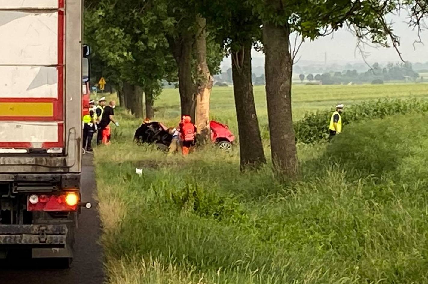 Volkswagen roztrzaskał się o drzewo pod Krasnymstawem. Trwa akcja ratunkowa, droga krajowa jest zablokowana (zdjęcia)