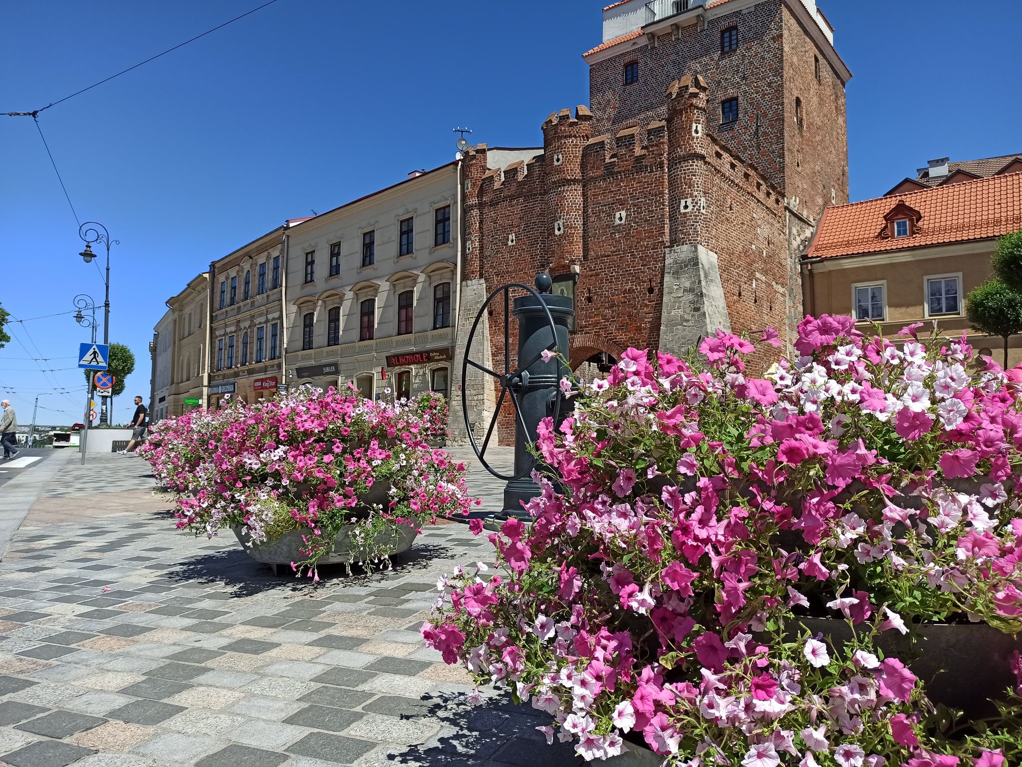 Trwa wymiana kwiatów w centrum Lublina. Pojawiły się już nowe kompozycje (zdjęcia)