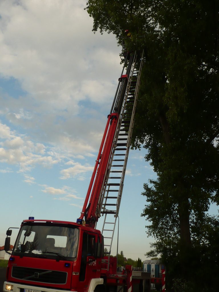 Dron nagrywający ćwiczenia wojskowe utknął na drzewie, interweniowali strażacy (zdjęcia)