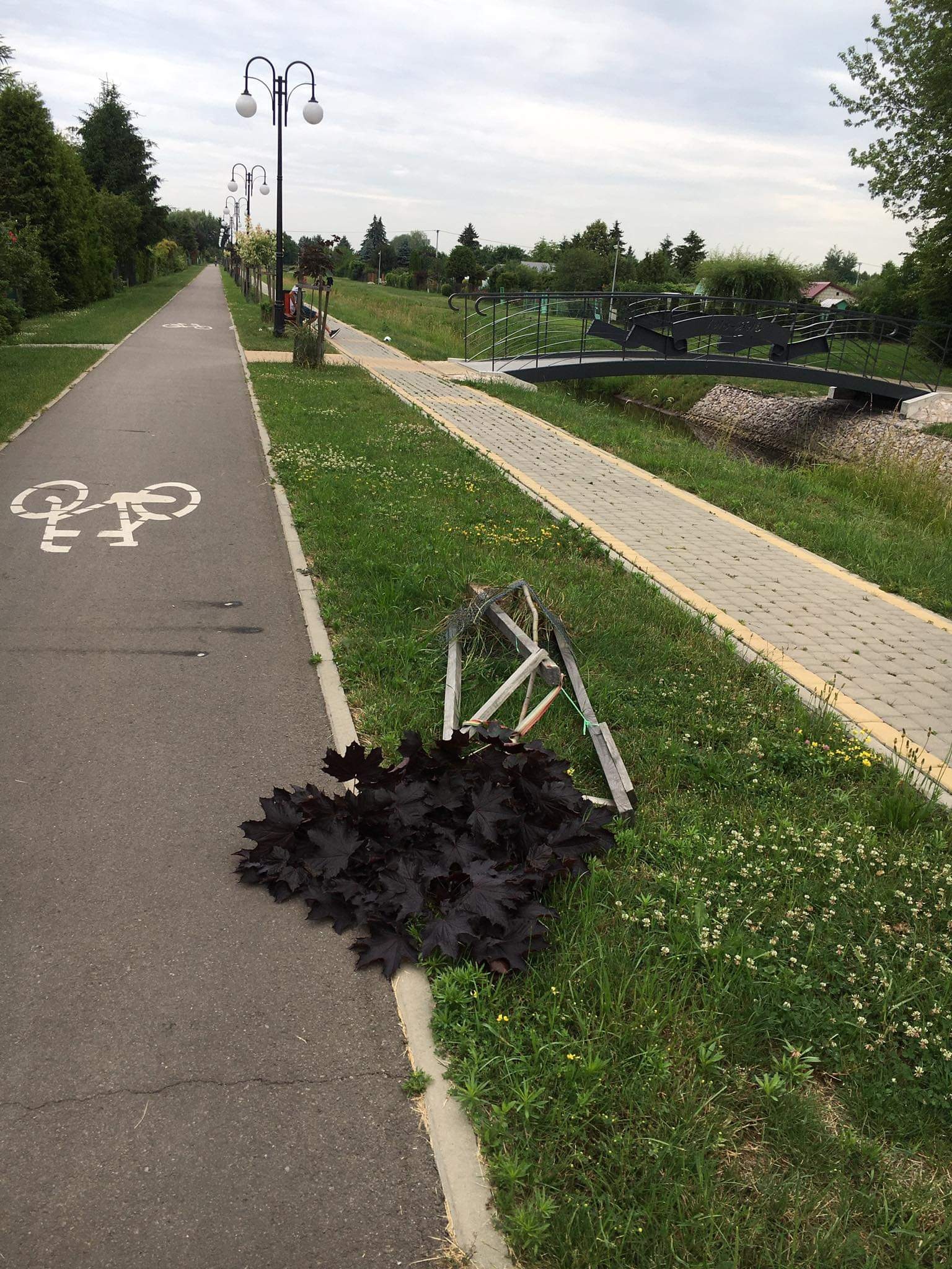 To nastolatek zniszczył drzewka. Nie wie dlaczego to zrobił, koszty poniosą rodzice (zdjęcia)