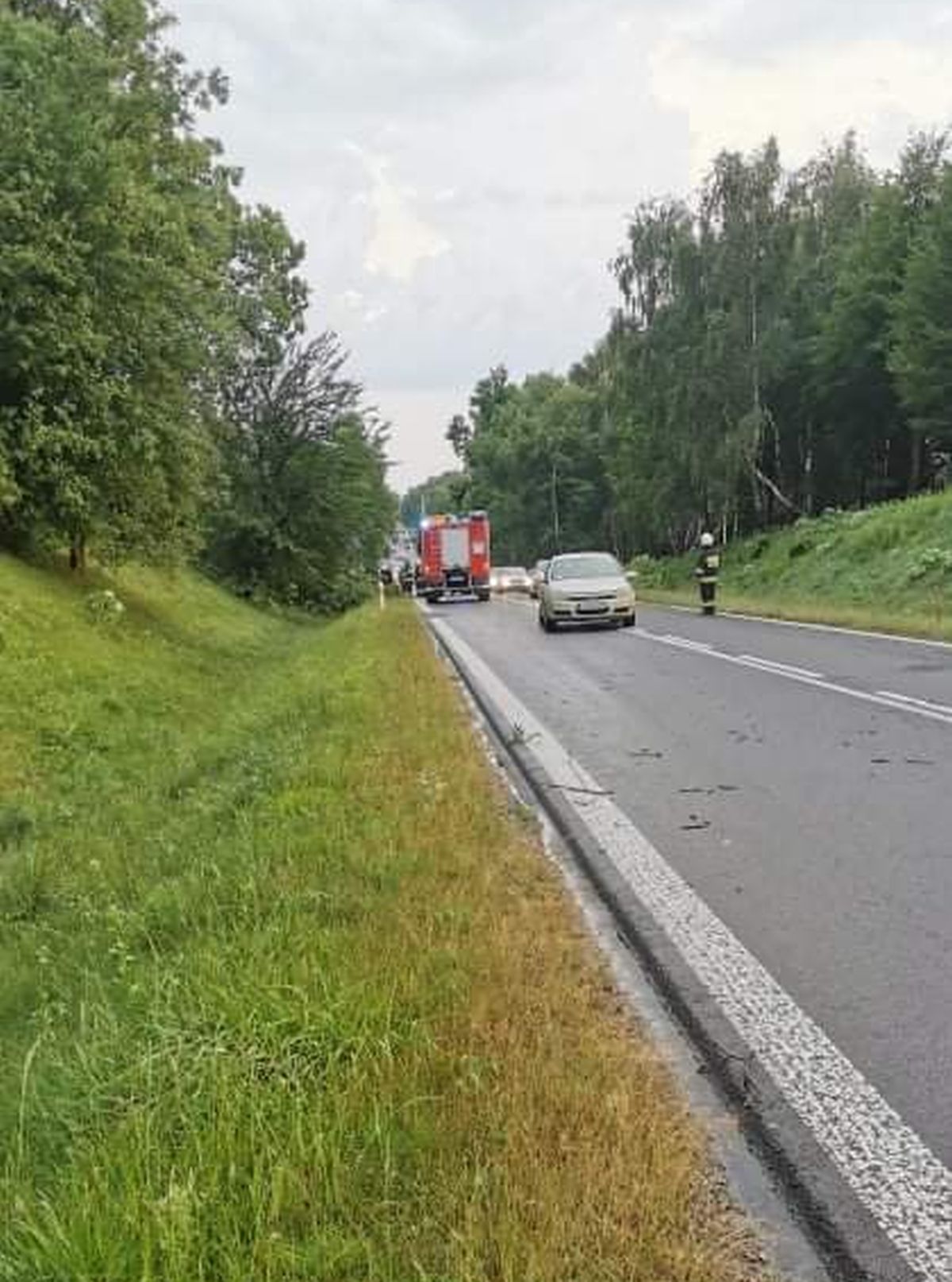 Burza nad Lubelszczyzną: Powalone drzewa wstrzymały ruch na trasie Lublin – Biłgoraj (zdjęcia)