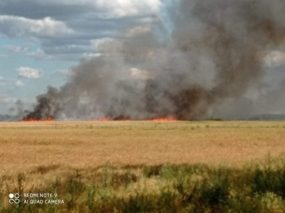 Niebawem miał zbierać plony. Spłonęło 10 ha zboża na pniu, dym widać było w sąsiednim powiecie (zdjęcia)